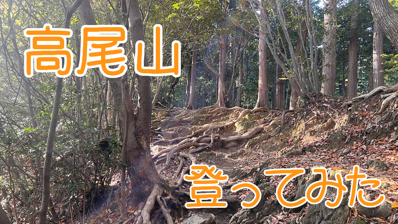 [高尾山] 初心者から経験者までおすすめ。日本一有名な低山を登山する